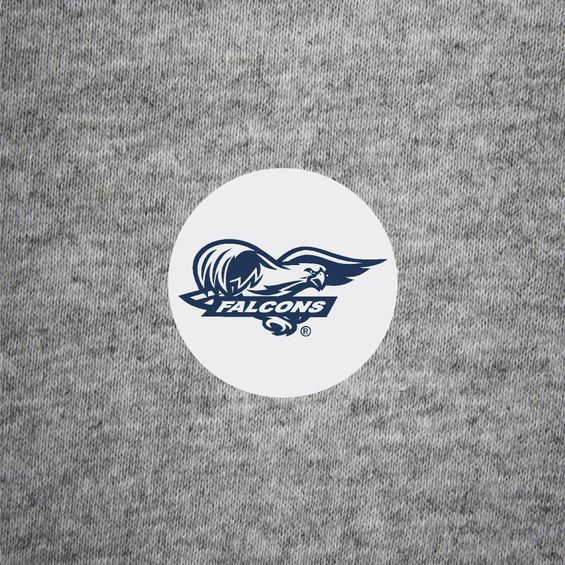Falcons Mini Button | 1.25" (White)